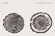 Tree Rings Wood Sketches, a Decorative Illustration by TheMountBirdStudio (Thumbnail 3 of 5)