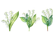 Lily of the valley, an Illustration by Watercolor life (Thumbnail 4 of 4)
