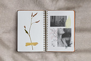 Abstract Japandi Collage creator kit, an Object Graphic by KomannaArt (Thumbnail 2 of 19)