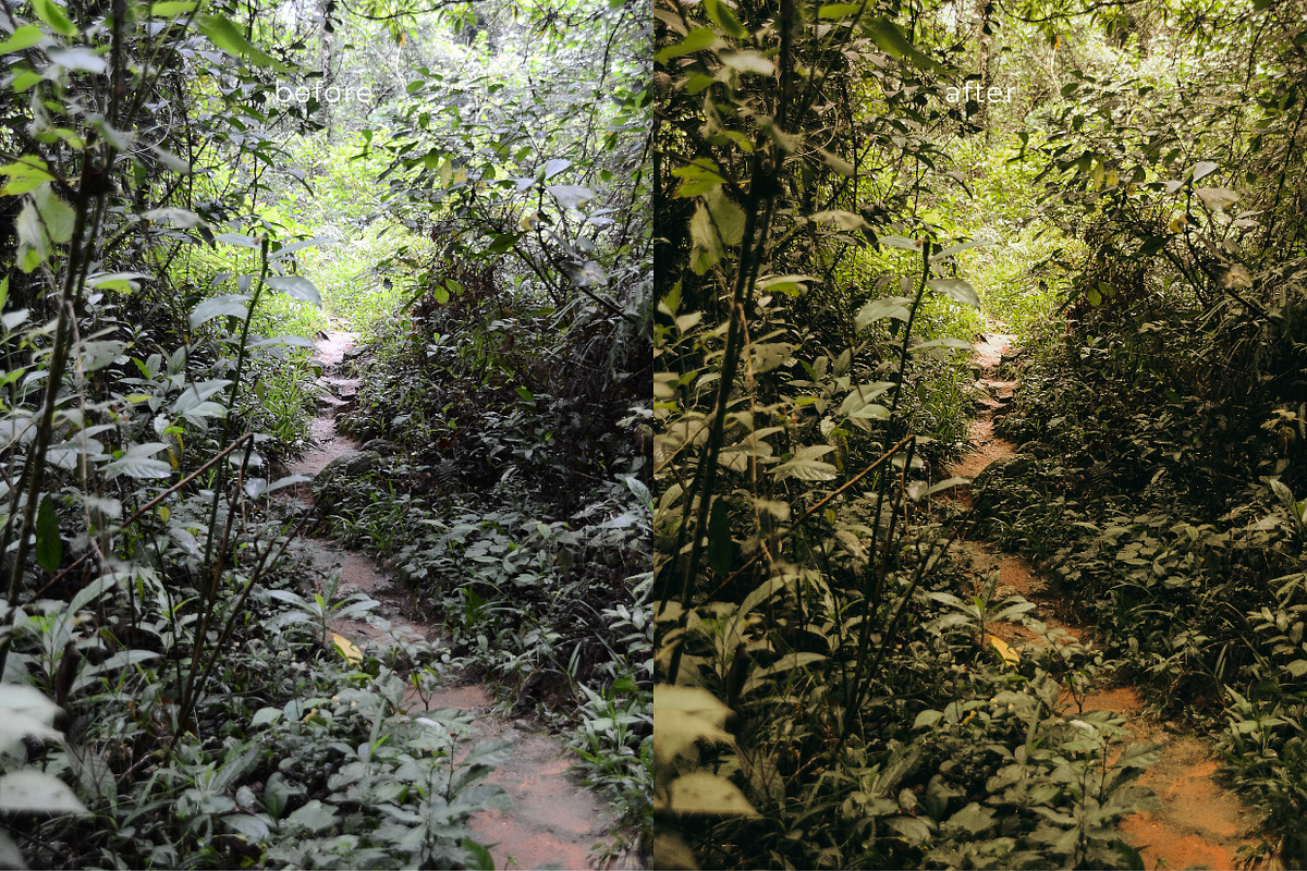 LR presets Selva, a Preset Add-On by Emi Martinez Diana (Photo 2 of 7)