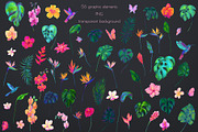 Birds of Paradise graphics/patterns, a Pattern Graphic by Salted Galaxy (Thumbnail 12 of 14)