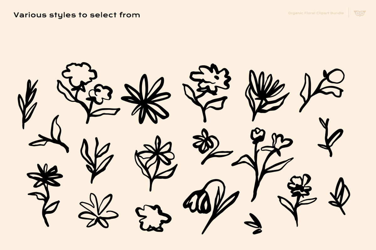 Organic Floral Clipart Bundle, a Decorative Illustration by ClayStudio (Photo 6 of 10)