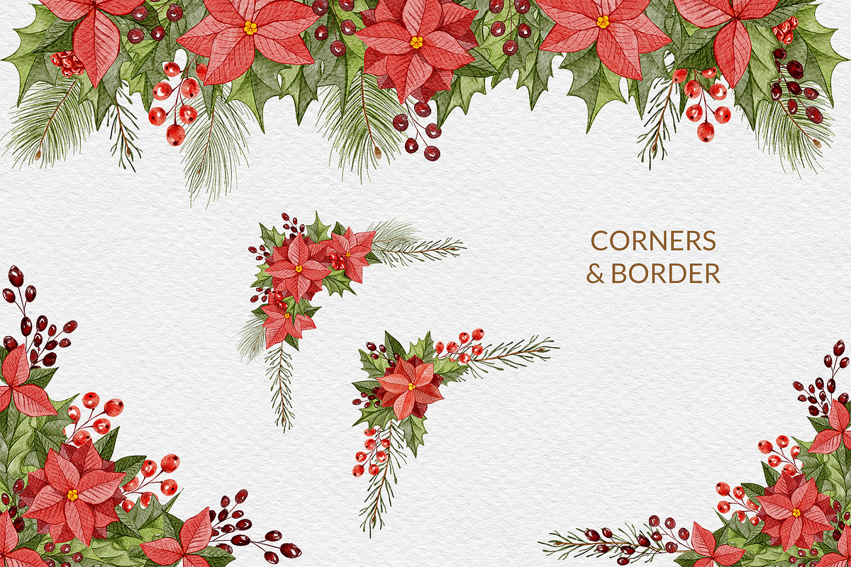 Christmas Florals, Poinsettia, an Object Graphic by ilonitta (Photo 16 of 18)