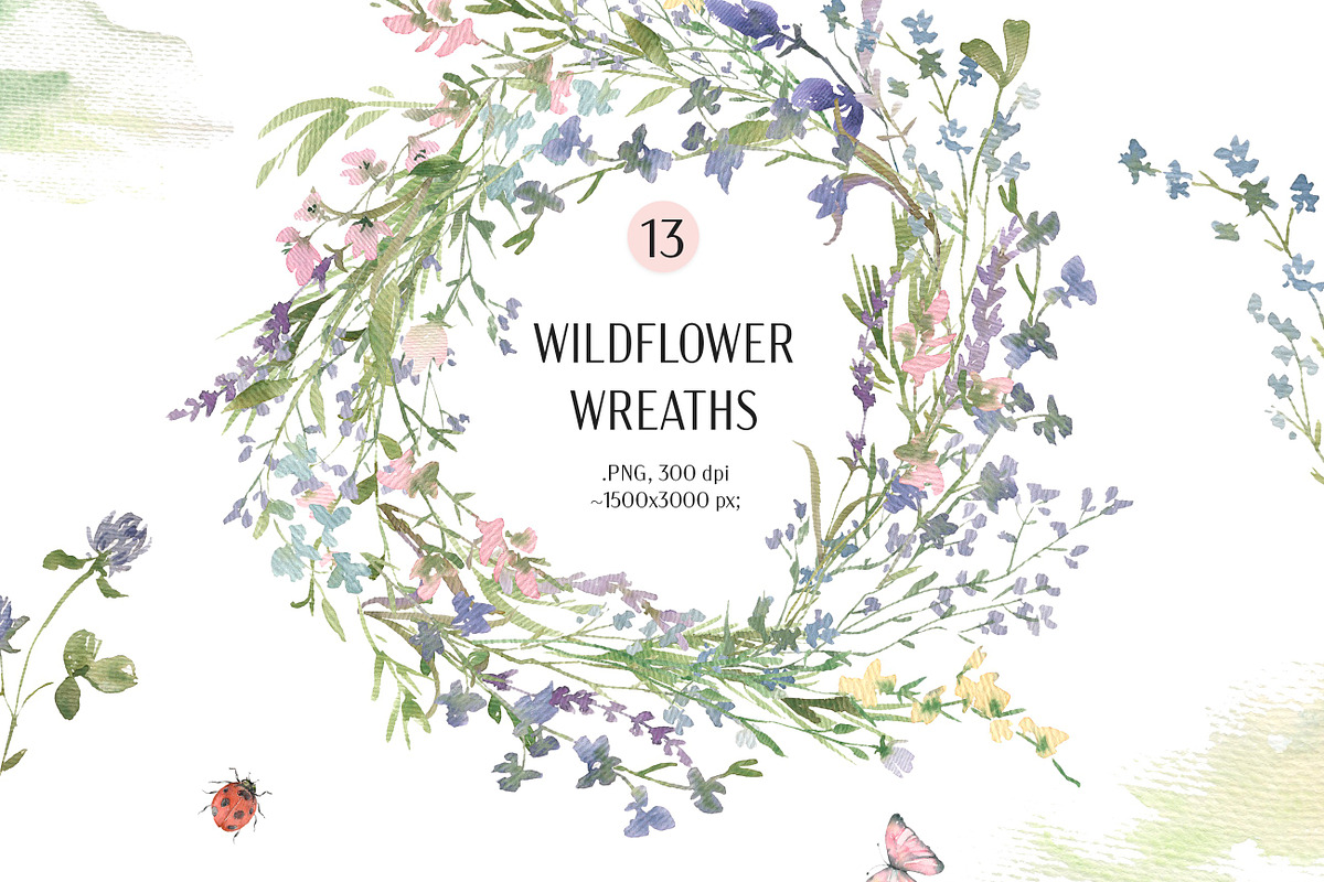 Summer Watercolor Wildflowers, a Decorative Illustration by Les Frolova (Photo 7 of 11)