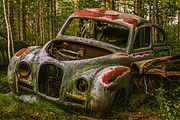 10 Brilliant Color Landscape Presets, a Preset Add-On by Timeless Presets (Thumbnail 12 of 13)