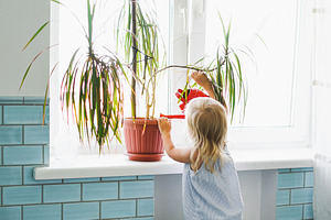 Cute baby girl watering house plant