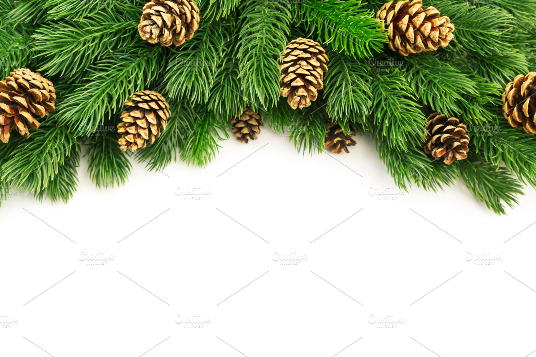 Christmas and New Year background with green spruce branches, co, a Holiday Photo by 5PH