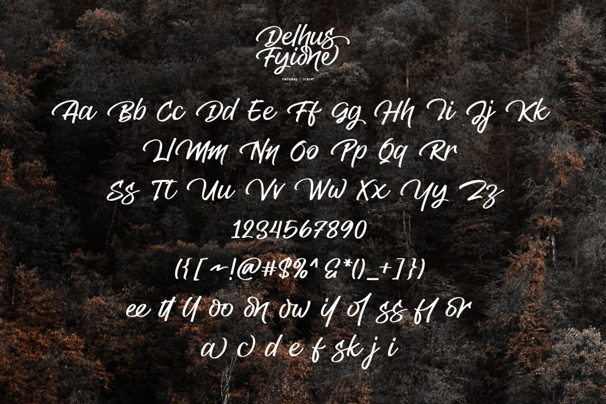Delhus Fyione, a Script Font by Joko Setiono (Photo 7 of 12)