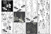 Wildherbs and flowers. Patterns., a Pattern Graphic by maritime_m (Thumbnail 5 of 16)