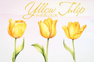 Watercolor Yellow Tulip Vector Set