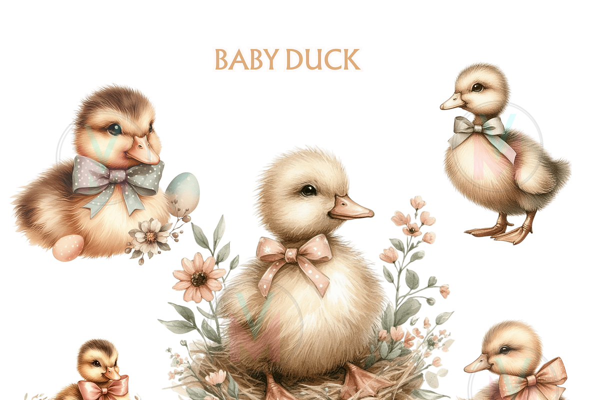 Watercolor Baby Duck ClipArt PNG, an Animal Illustration by VM PARTYS  BY TAIRUMA (Photo 4 of 10)