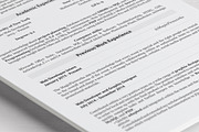 Kliner • Simple professional resume, a Resume Template by Dragoș Neagu (Thumbnail 2 of 5)