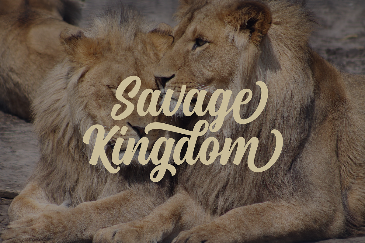 Medallion Script preview 7