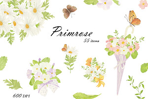 Primrose Watercolor Collection