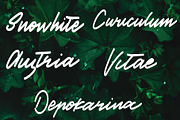 cinestory font, a Script Font by Mariyana (Thumbnail 2 of 6)