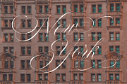Monalisa Script Font, a Script Font by Letteralle Studios (Thumbnail 13 of 23)