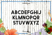 Facile Pro, a Sans Serif Font by Twicolabs Fontdation (Thumbnail 3 of 5)