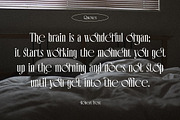 Mary Folland Condensed Serif, a Serif Font by Cruzine (Thumbnail 4 of 8)
