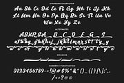 Silver Black –  Logotype Font, a Script Font by Lettersiro (Thumbnail 9 of 9)