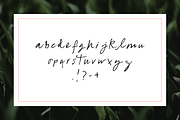 Fly By Night, a Script Font by Katie Heater (Thumbnail 4 of 4)