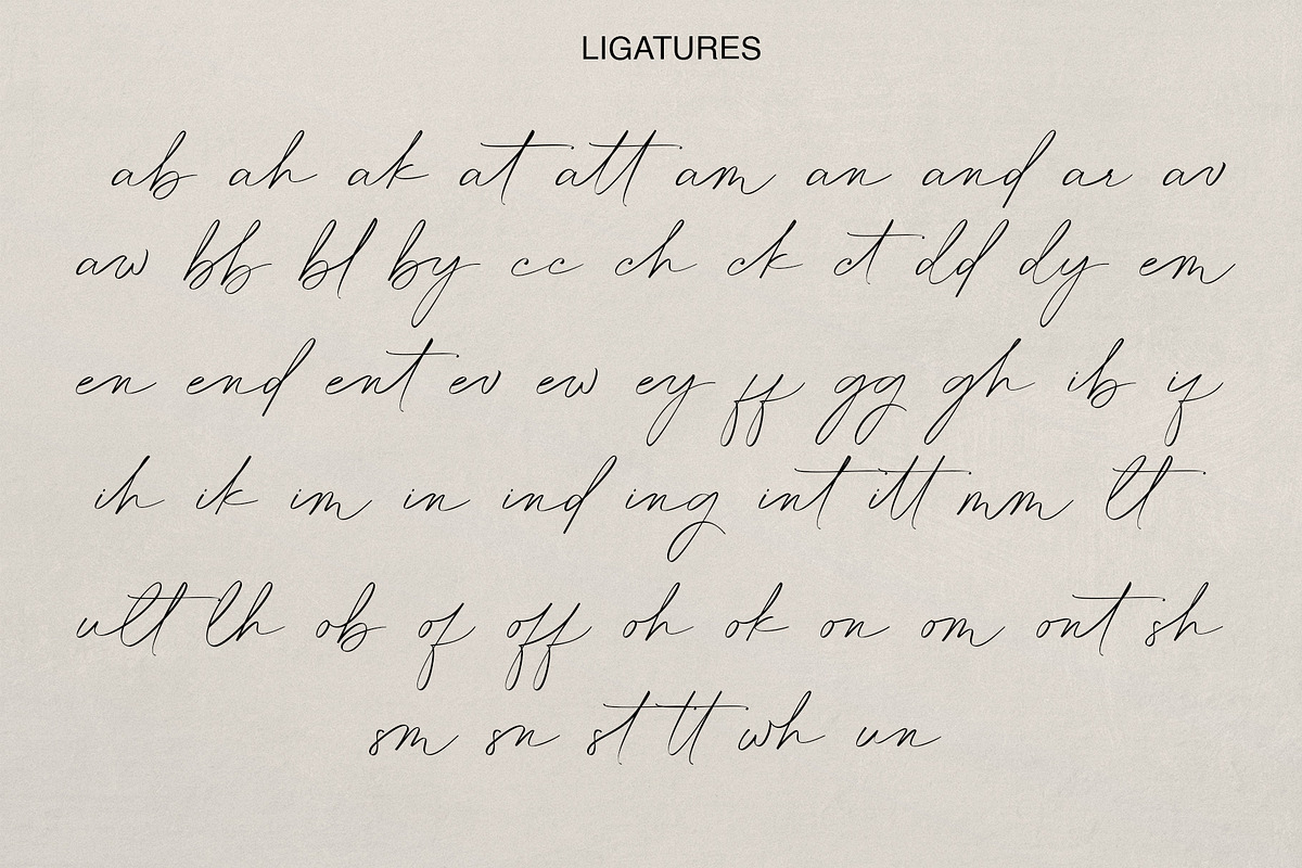 The Culturalist | Signature Modern, a Script Font by Teweka (Photo 12 of 12)