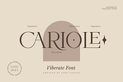 VIBERATE || ligature typeface, a Serif Font by ToniStudio (Thumbnail 9 of 10)
