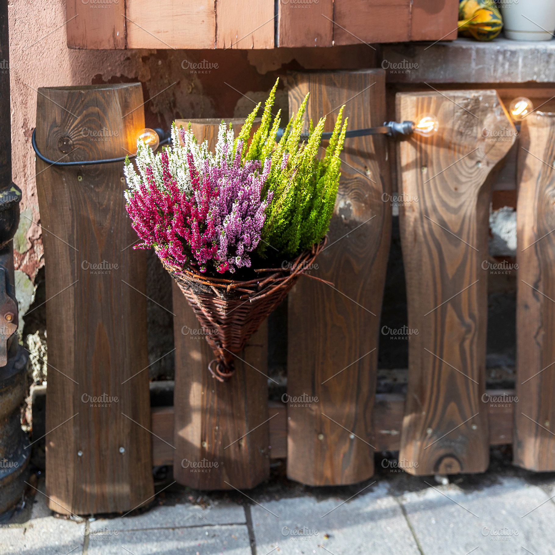 Vibrant Mixed Heather Arrangement, a Nature Photo by Imaginarium