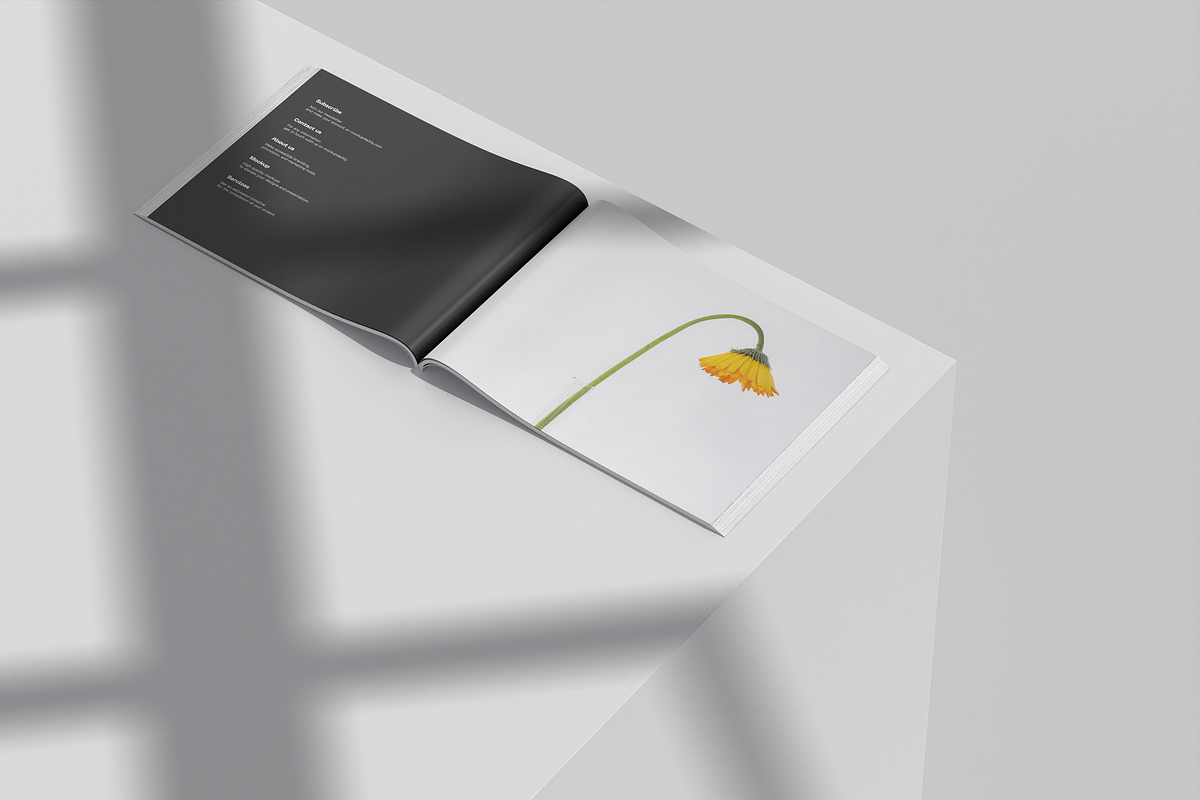 Landscape Magazine Mockup – US Size, a Books & Magazine Mockup by Mockupdaddy (Photo 4 of 10)