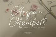 Aespa Maribell | Beauty Calligraphy, a Script Font by Denustudios (Thumbnail 1 of 15)