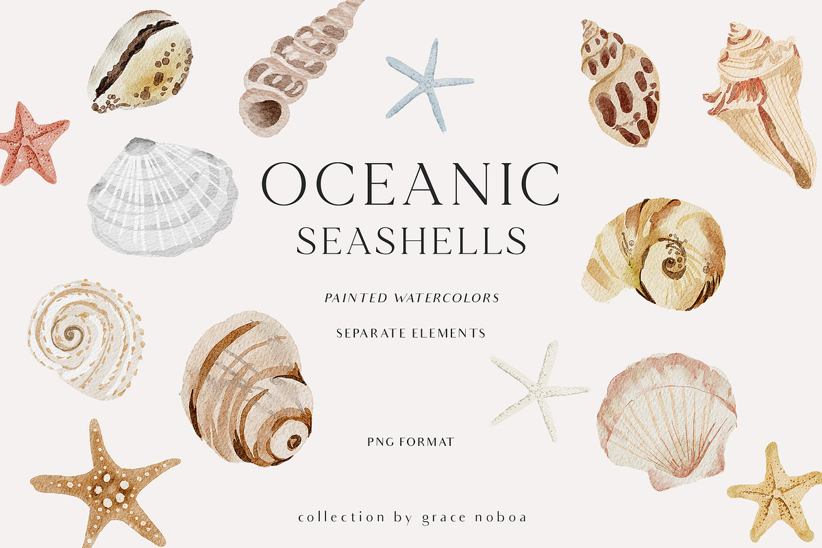 OCEAN Undersea Coral reef animals, an Animal Illustration by Grace Noboa Illustrations (Photo 6 of 15)