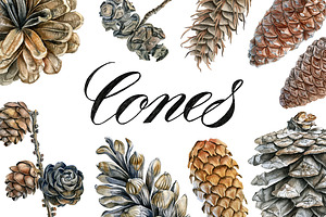 Cones
