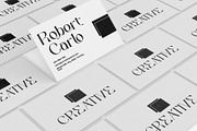 Qinferly, a Serif Font by Letterara (Thumbnail 3 of 14)