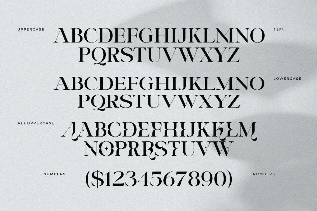 Riclose Font Duo, a Serif Font by Dora Typefoundry (Photo 10 of 29)