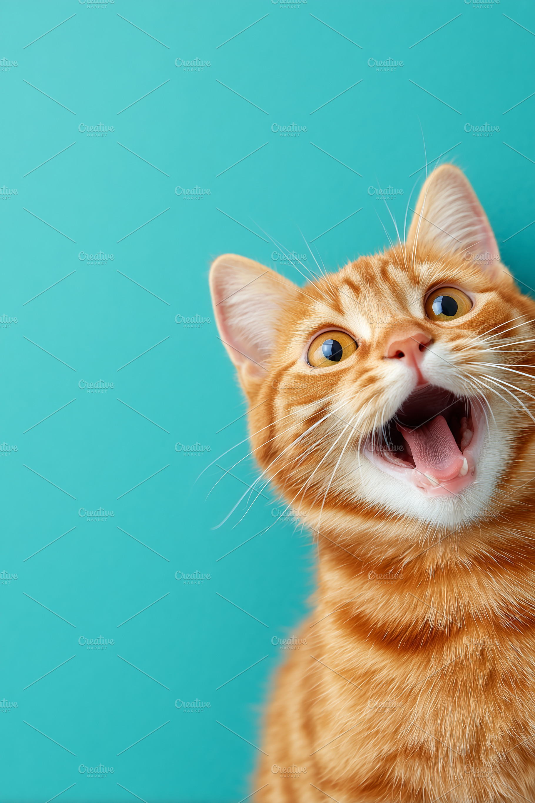 Happy orange tabby cat with open, an Animal Photo by MistyDay