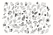 Autumn Floral Vector Drawings, a Decorative Illustration by Adiemus (Thumbnail 6 of 6)