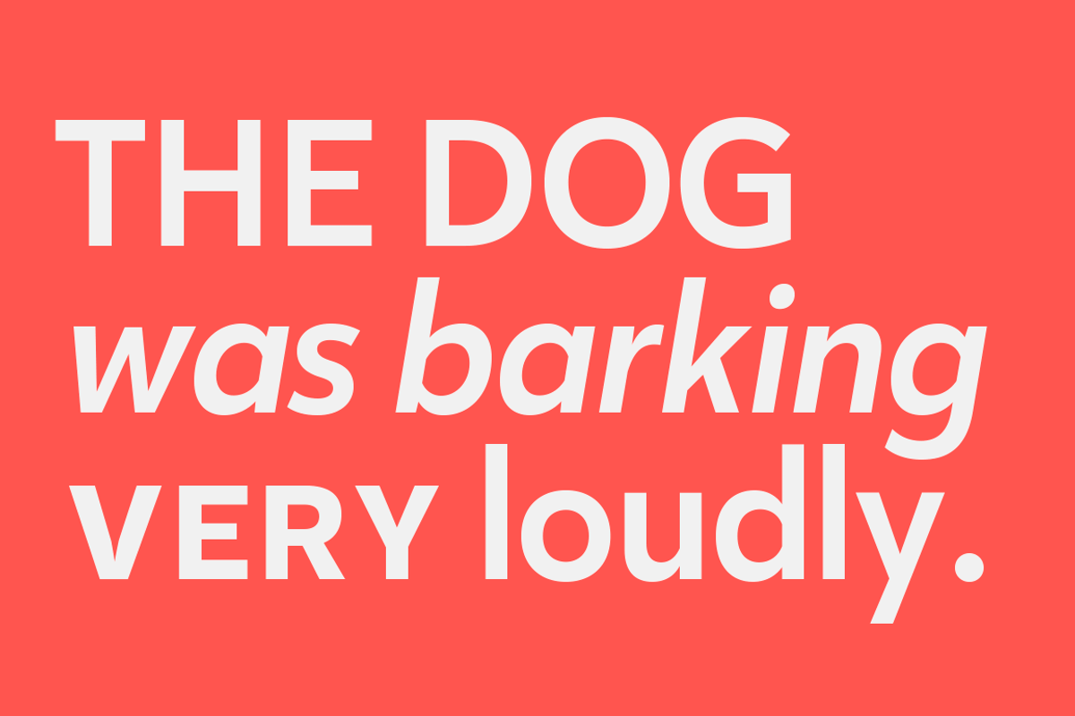Karu -Serif with character, a Sans Serif Font by Fenotype (Photo 14 of 17)