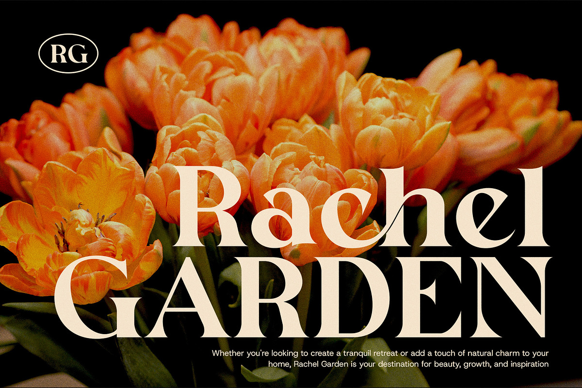 Migilen Modern Serif Font, a Serif Font by Graphicxell (Photo 3 of 8)