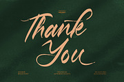 Pluretta Vintage Modern Brush Font, a Serif Font by Letterena Studios Script (Thumbnail 20 of 20)