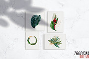 Watercolor Tropical Leaves, a Decorative Illustration by Damian Roh (Thumbnail 12 of 19)