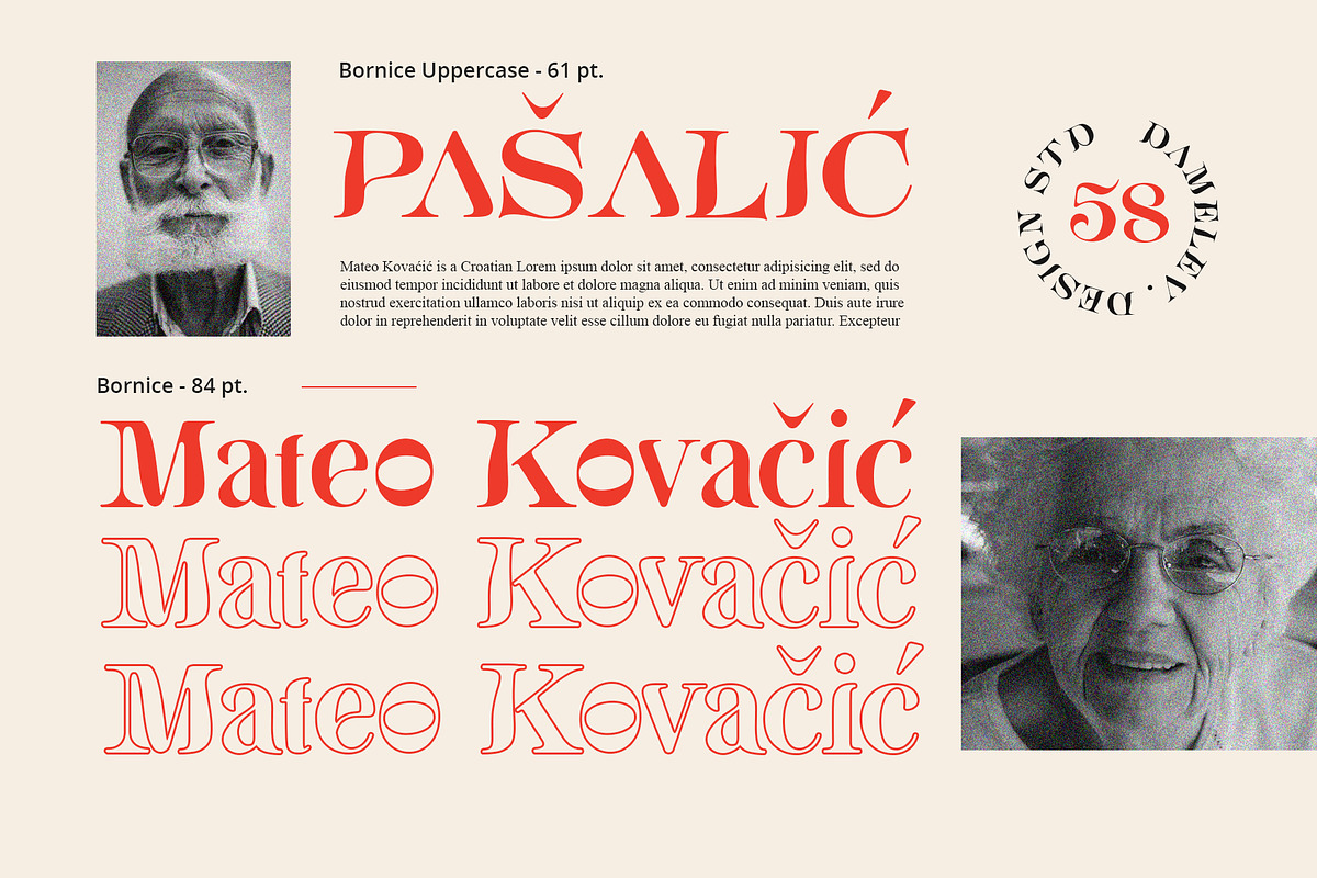 Bornice Modern Serif, a Serif Font by Damelev (Photo 11 of 13)