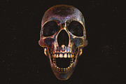 Skulls: 108 Skull Images, an Object Graphic by RuleByArt (Thumbnail 5 of 16)