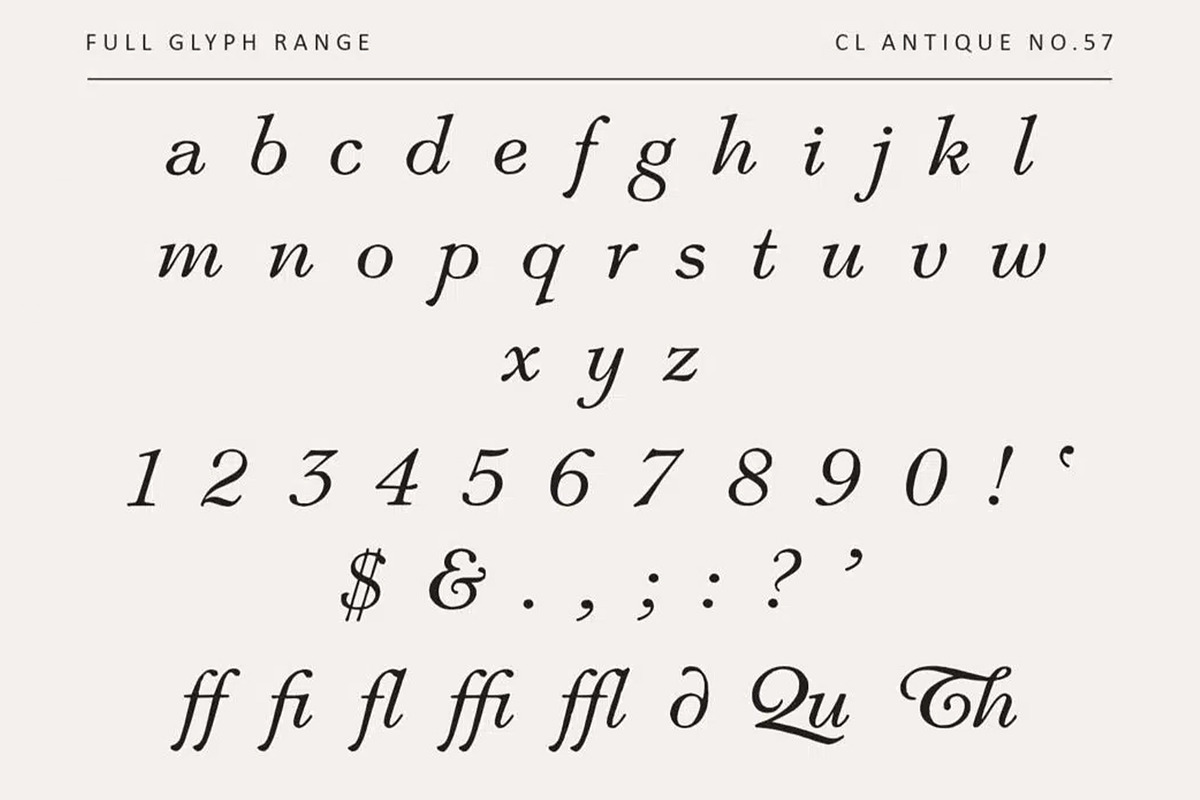 Vintage Italic Serif Font, a Serif Font by Century Library (Photo 3 of 3)