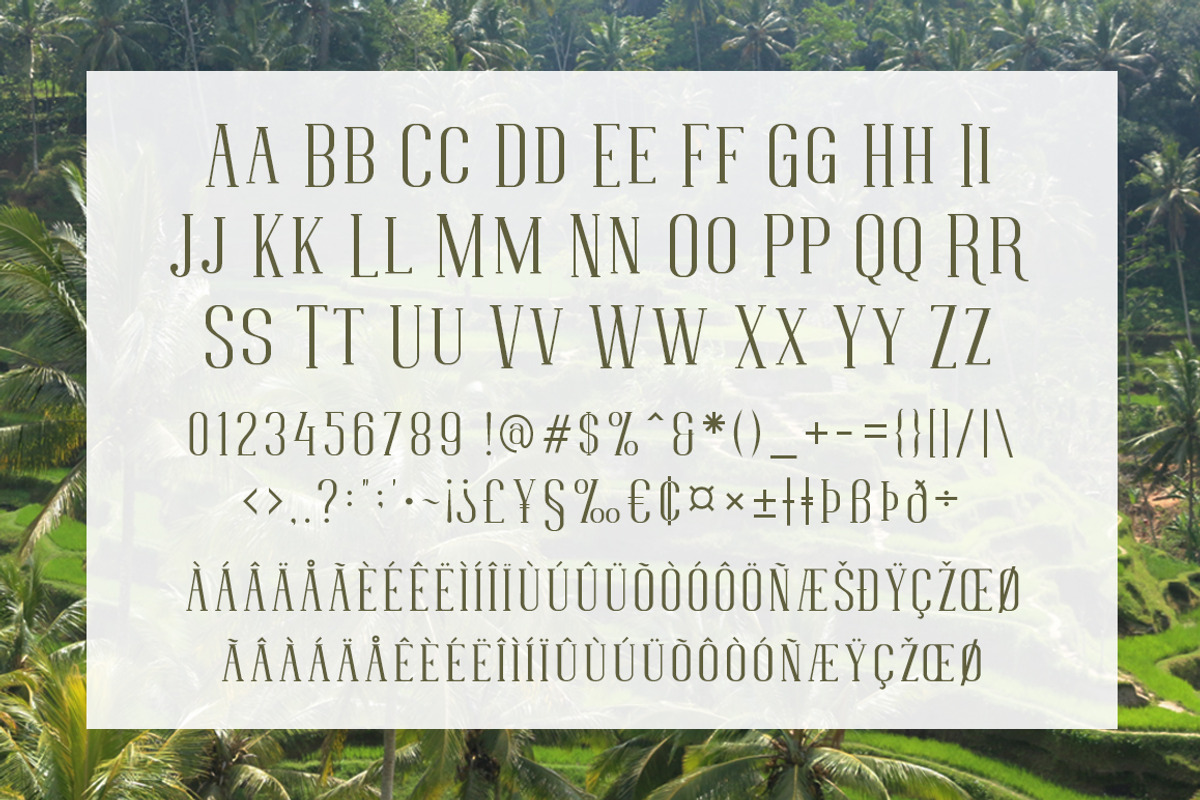 FLOREN TYPEFACE preview 3