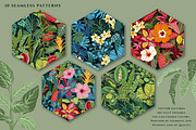 Tropical Plants & Animals, a Pattern Graphic by Molly art (Thumbnail 6 of 14)