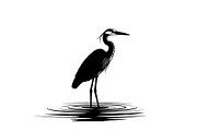 50 Heron Crane Silhouette Bundle, an Illustration by Amazin_art (Thumbnail 5 of 39)