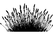 Lavender Flower Silhouette, an Object Graphic by Designer_Momina (Thumbnail 13 of 20)