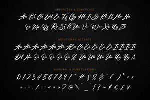 The Romantica - Handbrush Script