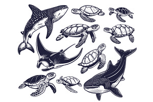 Sea animals. Whale shark giant ray, an Animal Illustration by Stock-Smart-Start