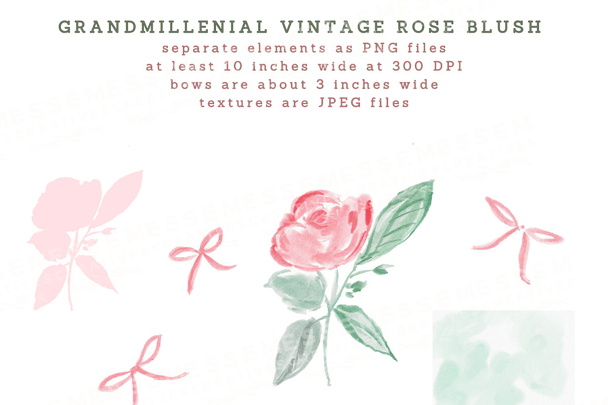 Vintage Grandmillenial Rose Blush, a Seasonal Illustration by Essem Creatives (Photo 8 of 9)