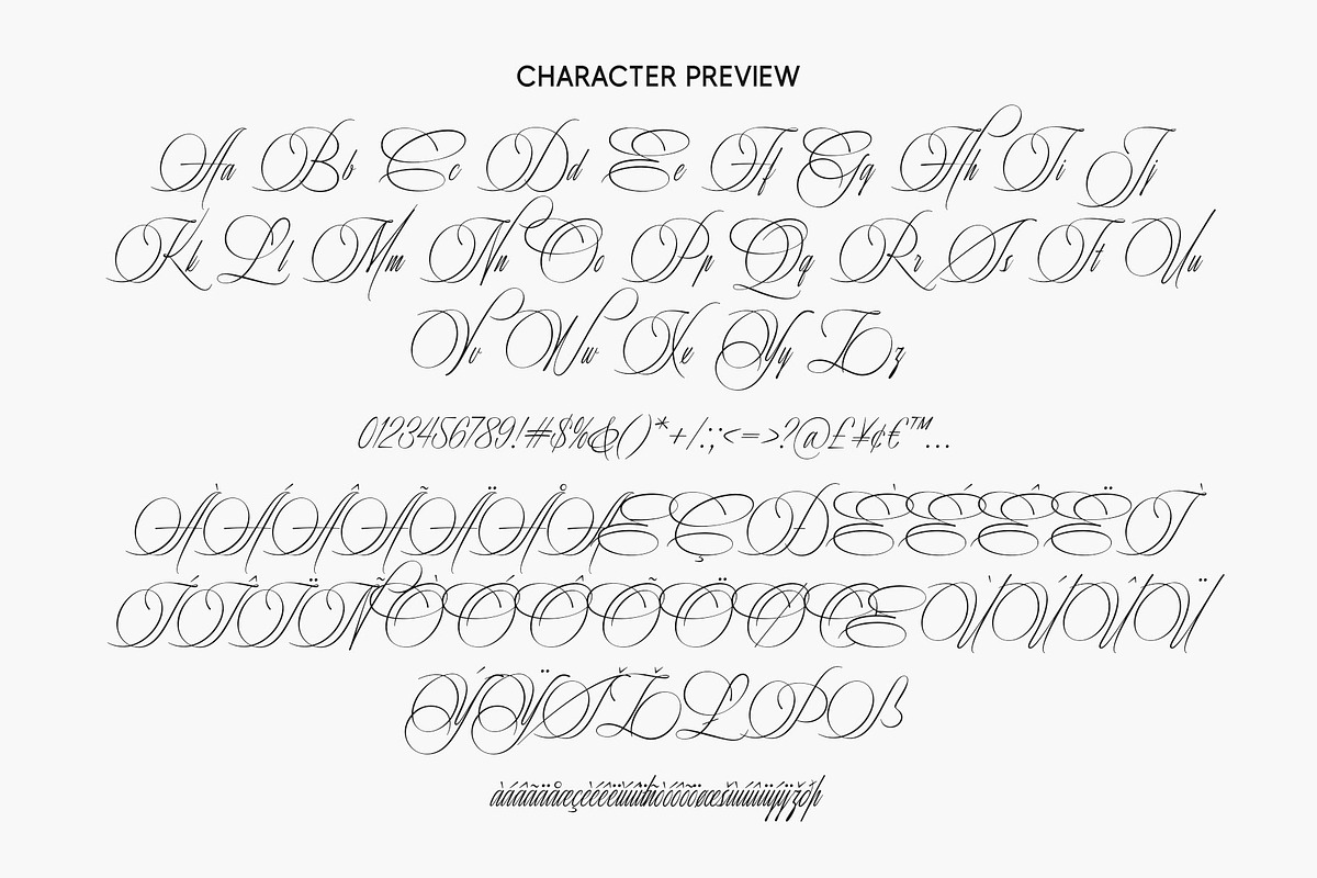 Risemotion Signature Font, a Script Font by Lemonthe (Photo 12 of 12)